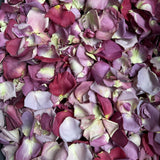 Rose Petals, Real Freeze Dried Ivory and Purple Petals for Pathways, 70 cups