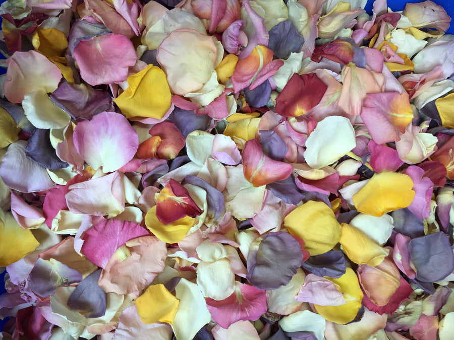 Rose Petals, Blossom Blend of Real Freeze Dried Petals for Pathways, 70 cups