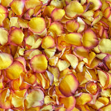 Freeze Dried Rose Petals - Tequila Sunrise