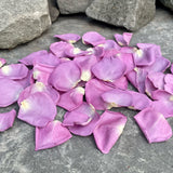 Freeze Dried Rose Petals - Lilac