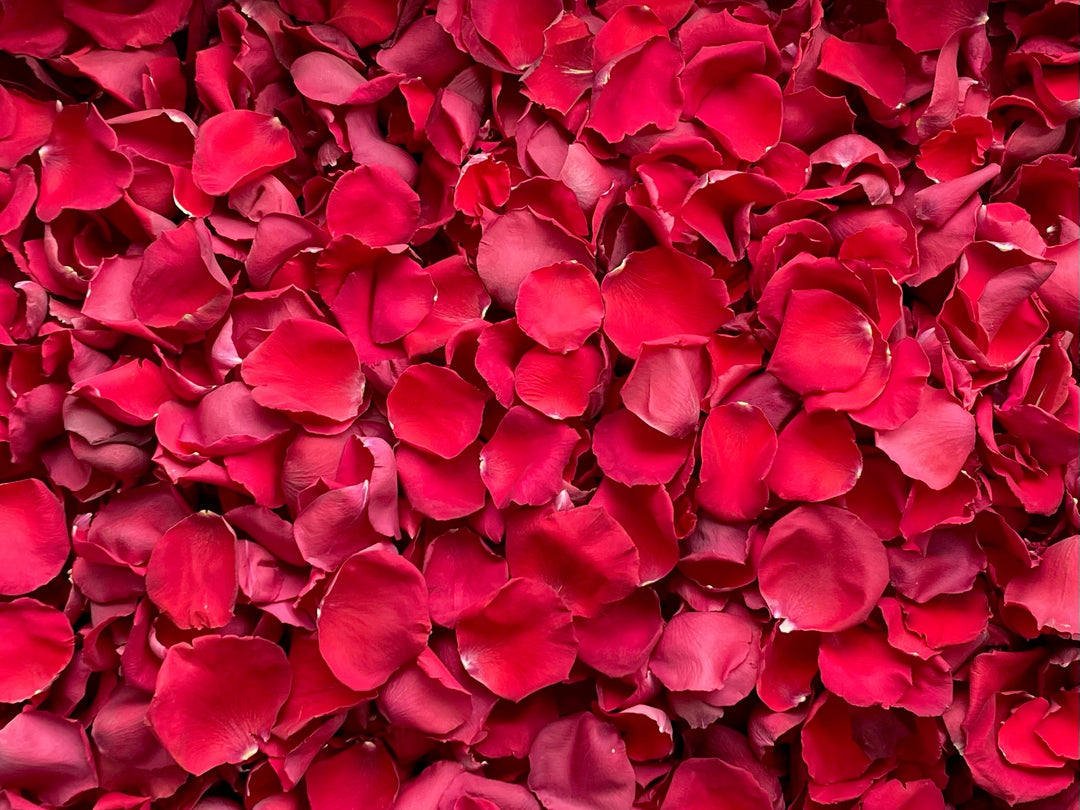 Freeze Dried Rose Petals - Red – Petal Garden, Inc.