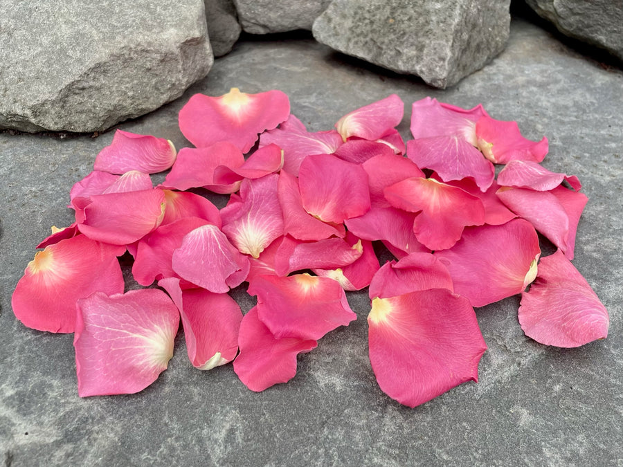 Freeze Dried Rose Petals - BubbleGum
