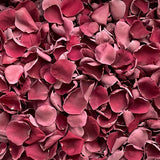 Freeze Dried Rose Petals - Burgundy