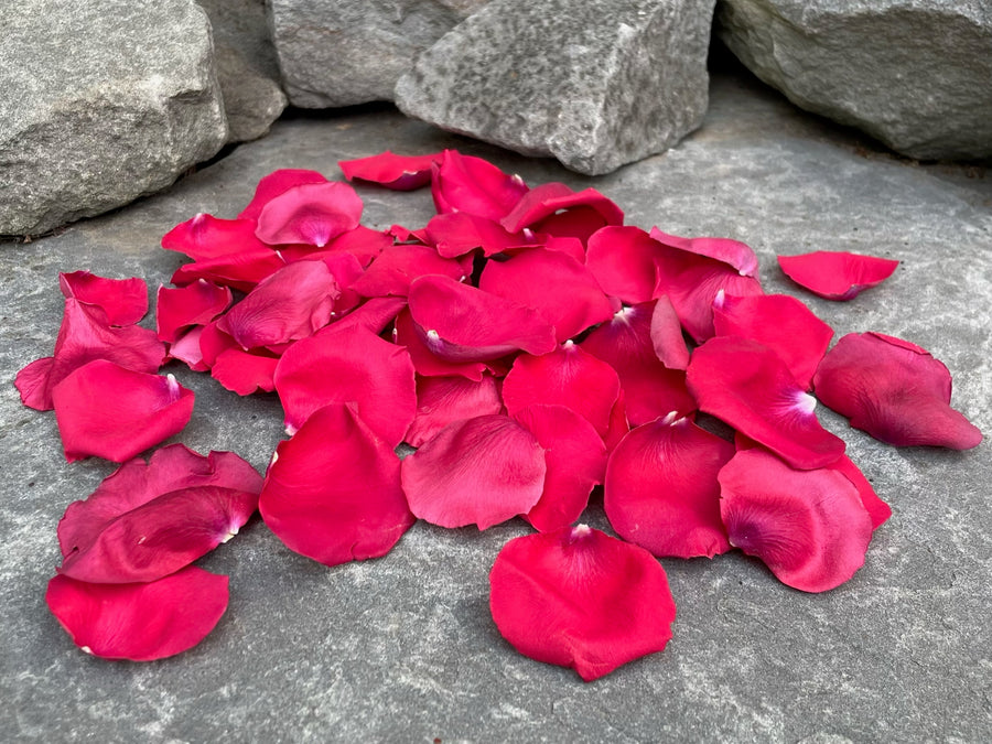 Bridal Red Preserved Freeze Dried Rose Wedding Petals