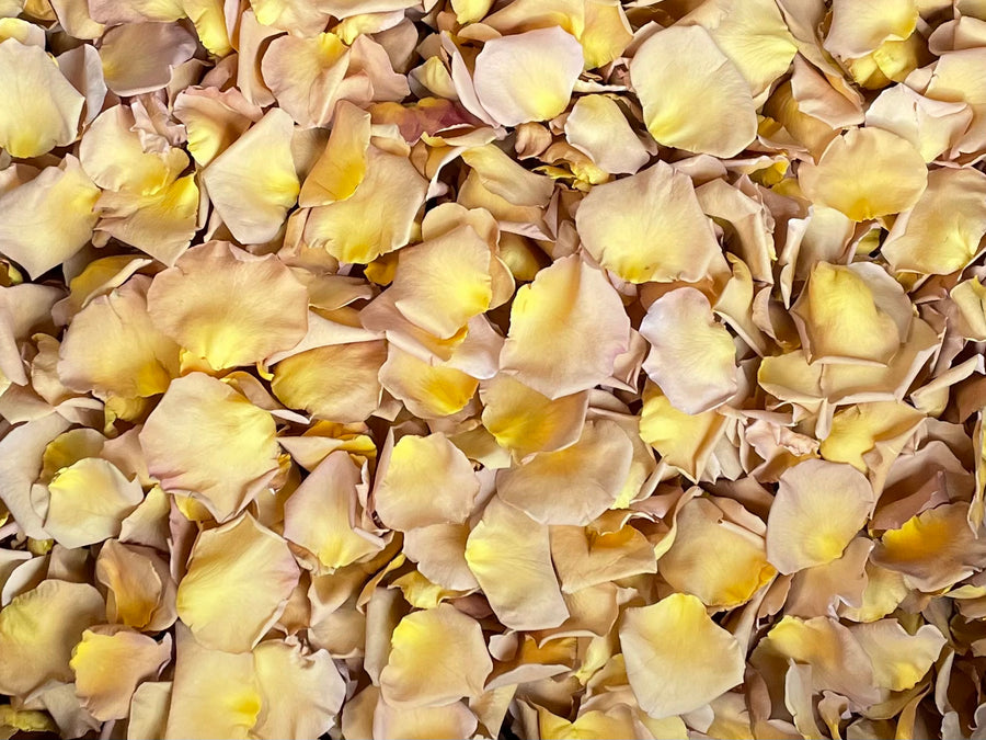 Freeze Dried Rose Petals - Dijon