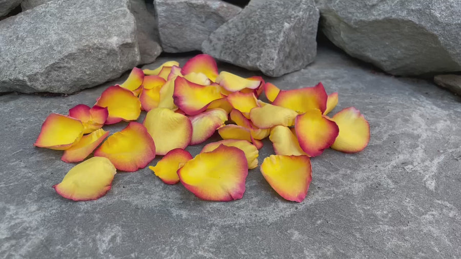 Freeze Dried Rose Petals - Tequila Sunrise