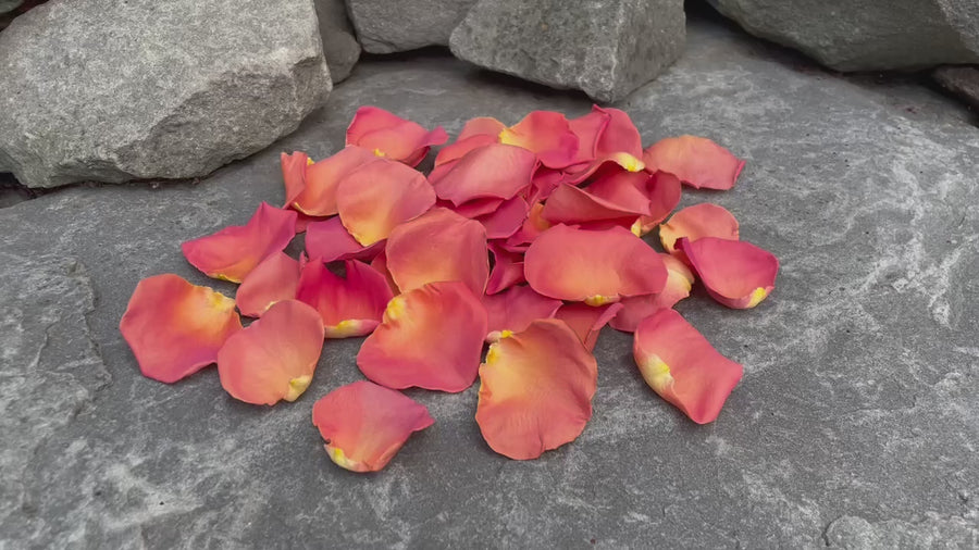 Freeze Dried Rose Petals - Coral