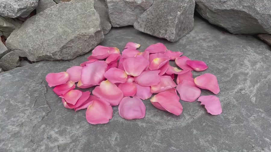 Freeze Dried Rose Petals - Pink