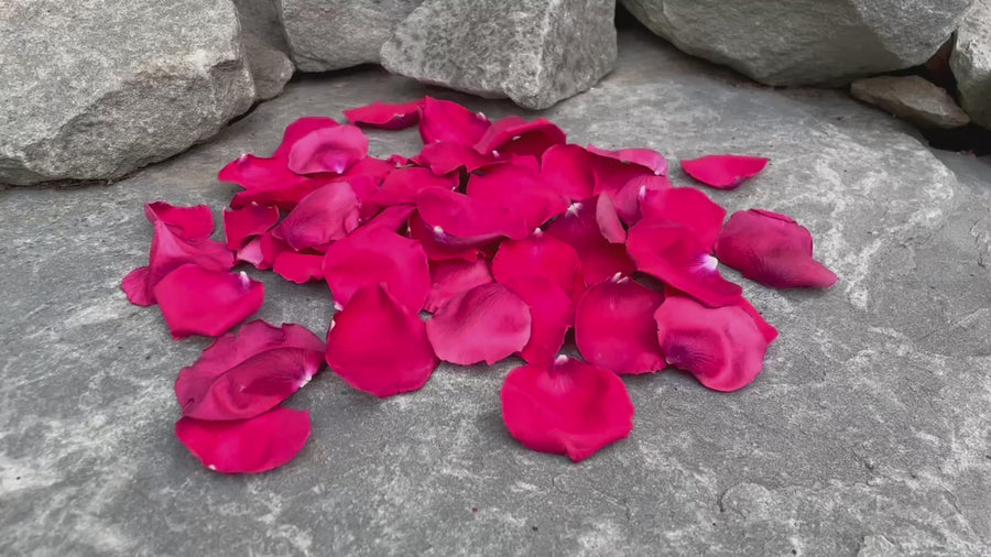 Rose Petals, Real Freeze Dried Pink and Orange Petals for Pathways, 70 cups