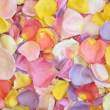 Rose Petals, Blossom Blend of Real Freeze Dried Petals for Pathways, 70 cups