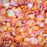 Freeze Dried Rose Petals - Citrus