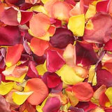 Freeze Dried Rose Petals - Harvest Blend
