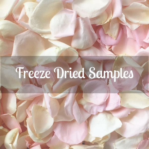 Rose Petals Sample, Freeze Dried, 2 cups (Qty Limit of 2)