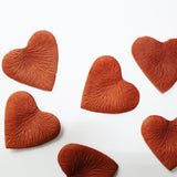 Terracotta Heart Shaped Silk Rose Petals
