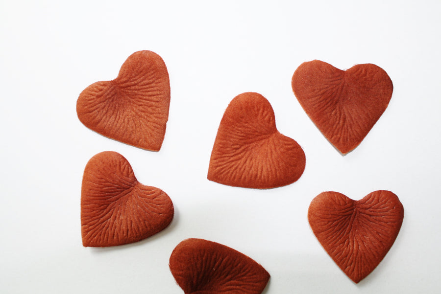 Terracotta Heart Shaped Silk Rose Petals