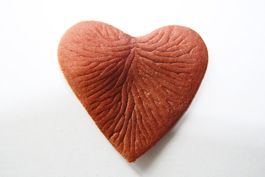Terracotta Heart Shaped Silk Rose Petals