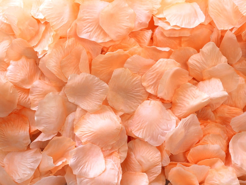 Peach Aisle Rose Petals, 500 petals