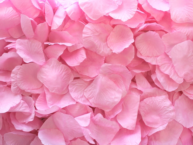 Pink Aisle Rose Petals, 500 petals
