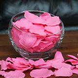 BubbleGum Silk Rose Petals, 100 petals