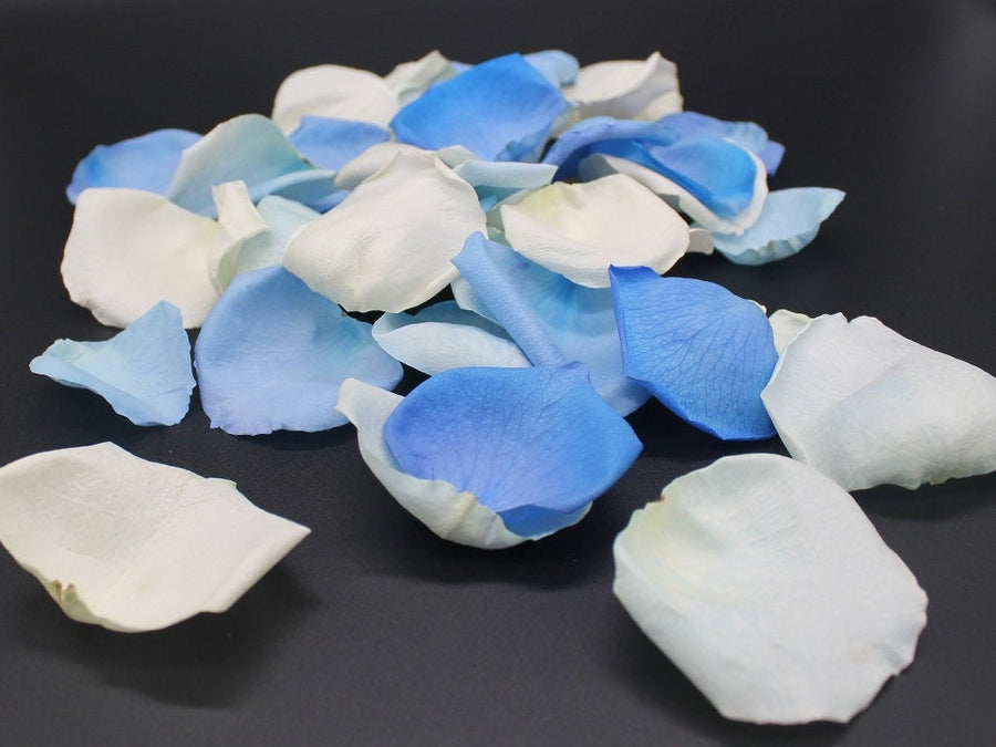 Freeze Dried Rose Petals - Cinderella Blend