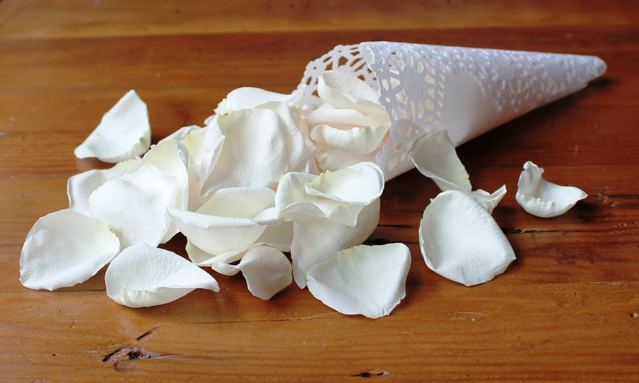 Freeze Dried Rose Petals - Ivory
