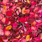 Rose Petals, Dark Colors, Real Freeze Dried Bulk Budget Petals, 100 cups