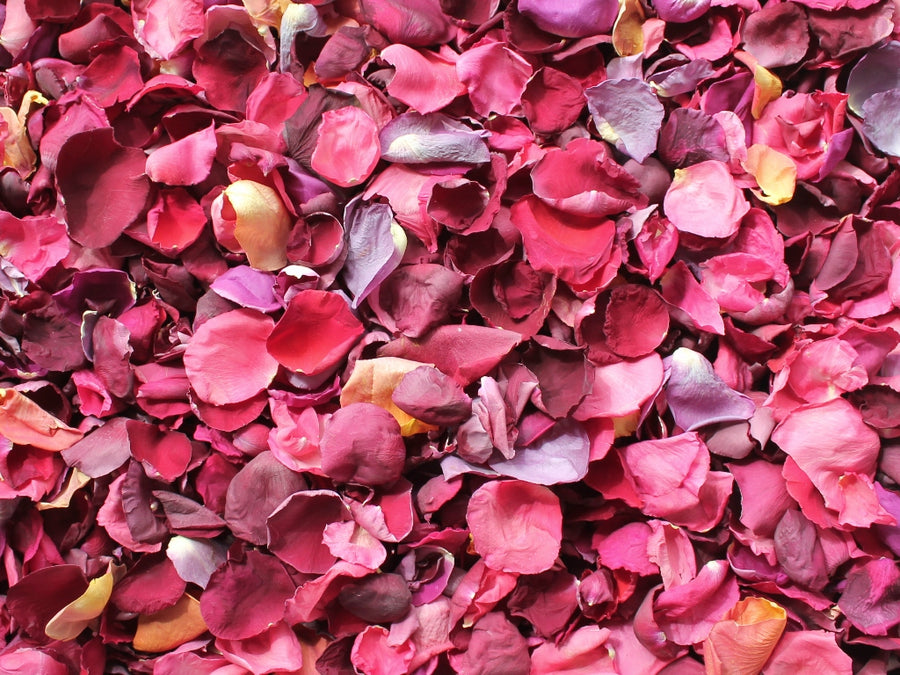 Rose Petals, Dark Colors, Real Freeze Dried Bulk Budget Petals, 100 cu –  Petal Garden, Inc.
