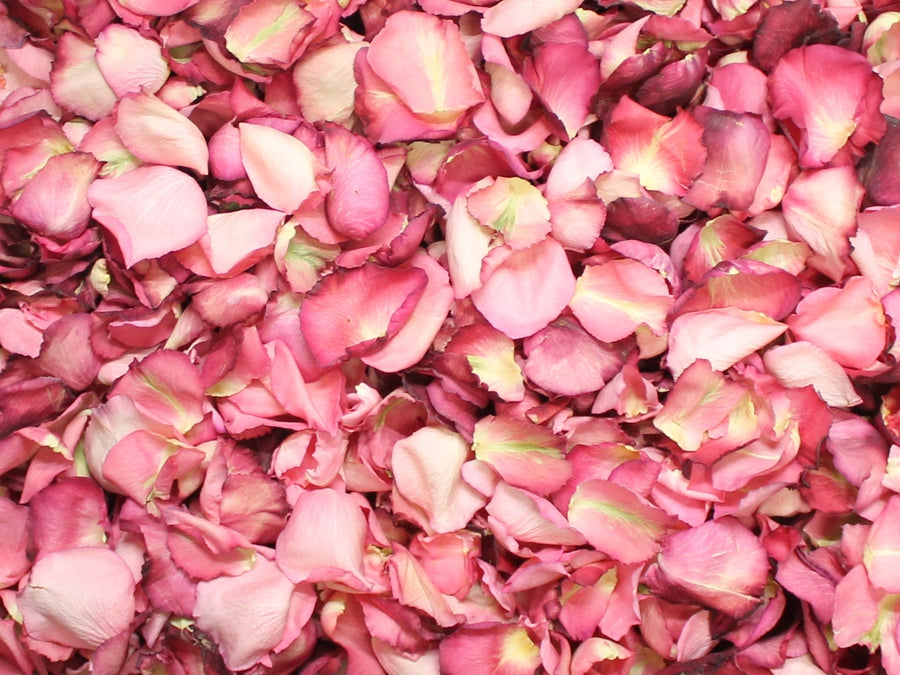 Rose Petals, Real Freeze Dried Pink Petals for Pathways, 70 cups