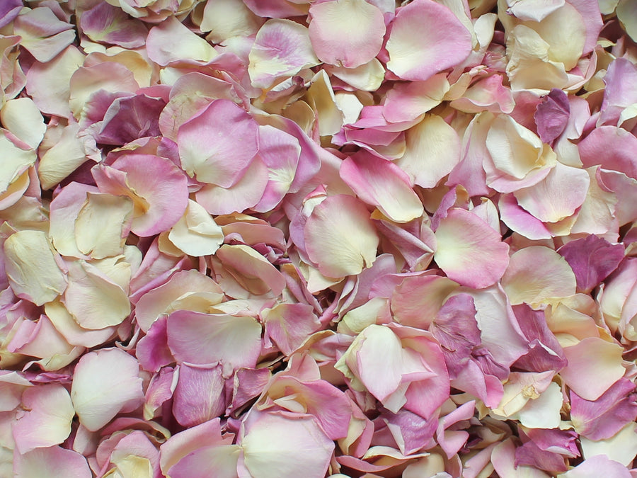 Rose Petals, Real Freeze Dried Pale Pink Petals for Pathways, 70 cups