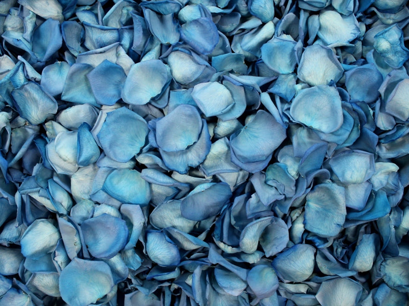 Freeze Dried Rose Petals - Blue dyed