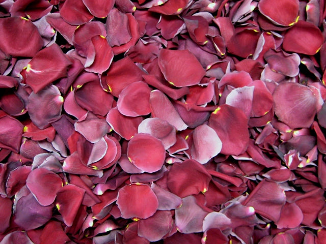 Rose Petals, REAL Freeze Dried Petals, 5 cups