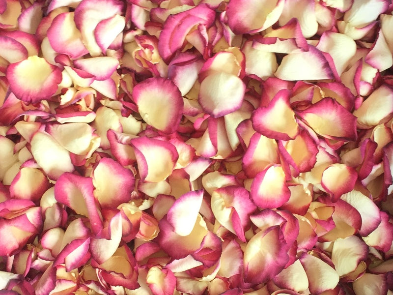 Freeze Dried Rose Petals - Cherry Vanilla