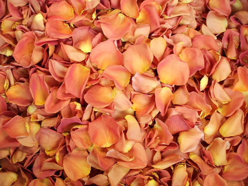 Freeze Dried Rose Petals - Coral
