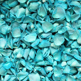 Freeze Dried Rose Petals - Teal dyed
