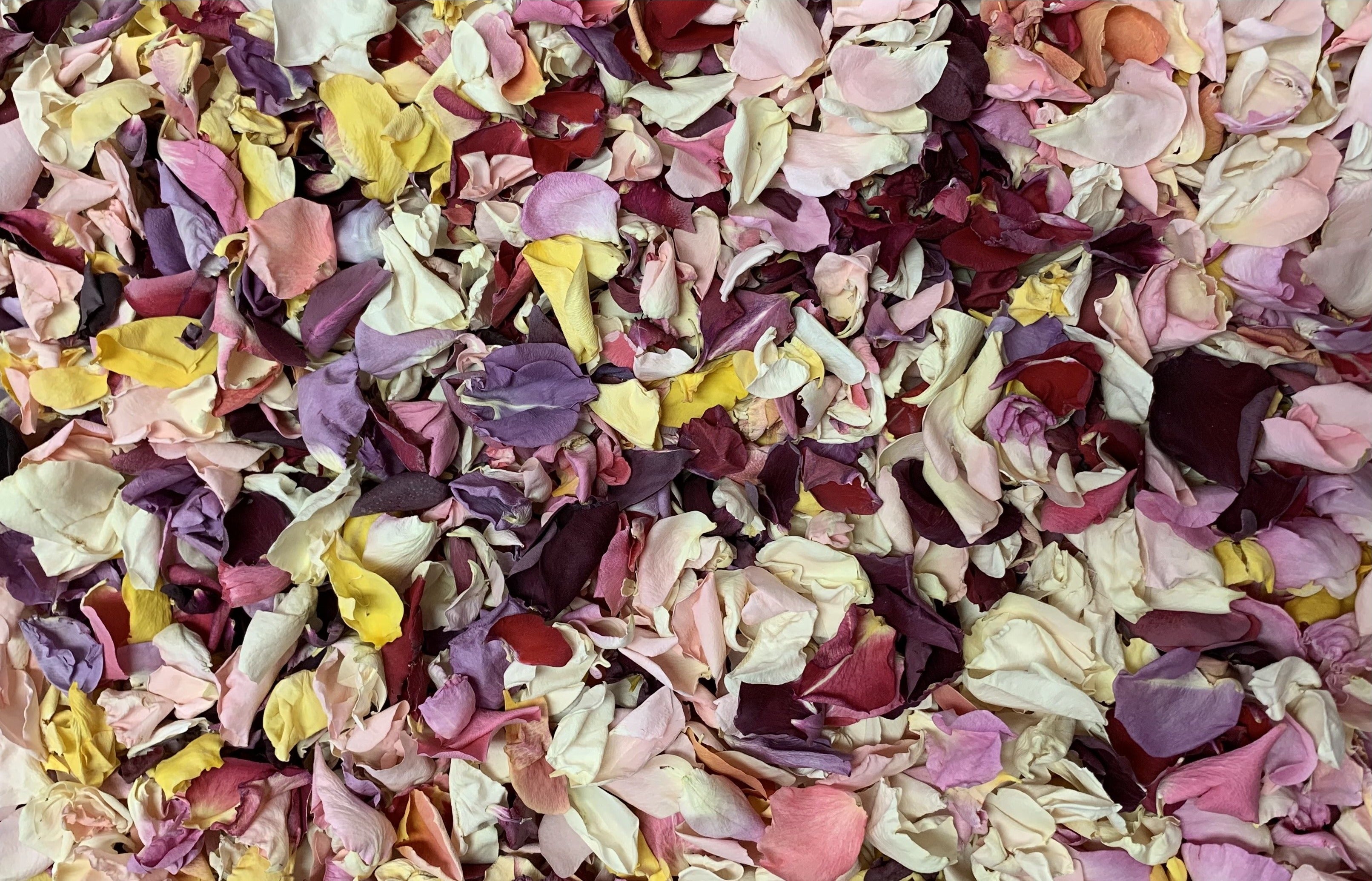 How To Dry Rose Petals For Confetti