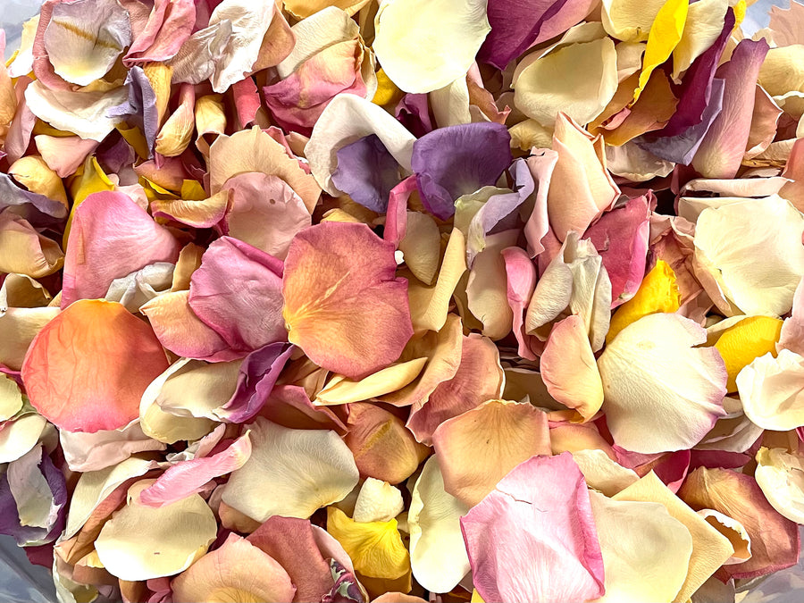 Rose Petals, Light Colors, Real Freeze Dried Bulk Budget Petals, 100 cups