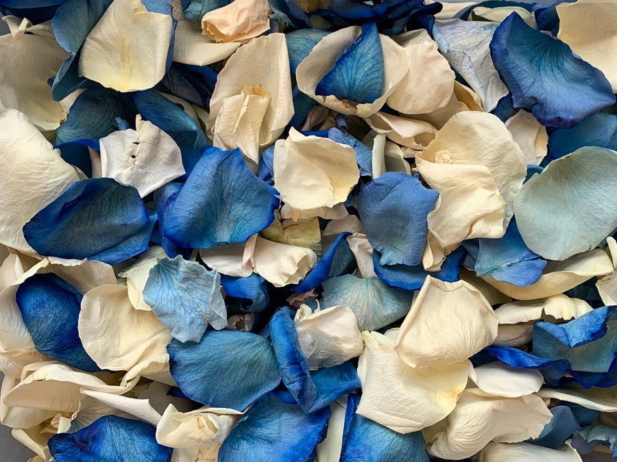 Rose Petals, Real Freeze Dried Blue and Ivory Petals for Pathways, 70 cups