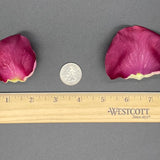 Freeze Dried Rose Petals - Garnet Fog