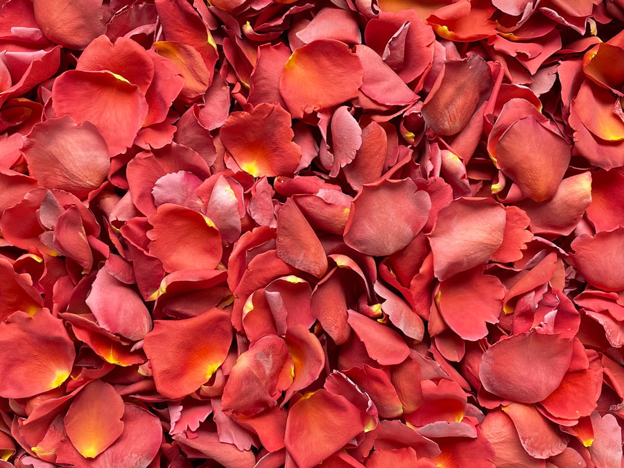 Freeze Dried Rose Petals - Tango