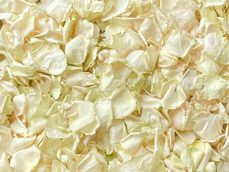Rose Petals, Real Freeze Dried Ivory Petals for Pathways, 70 cups