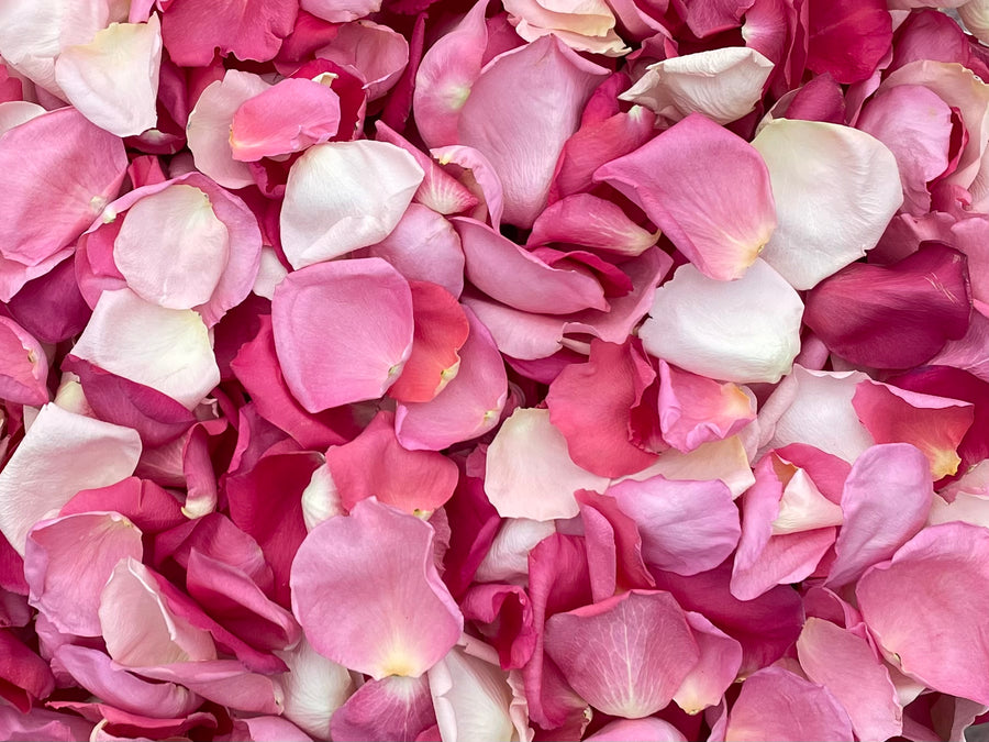 Freeze Dried Rose Petals - Pink Blend
