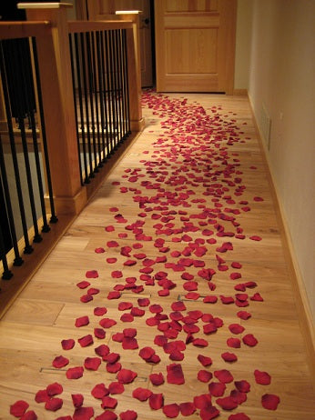 Rose Pedals and Candles Kit 3000 Packs Artificial Rose Petals for
