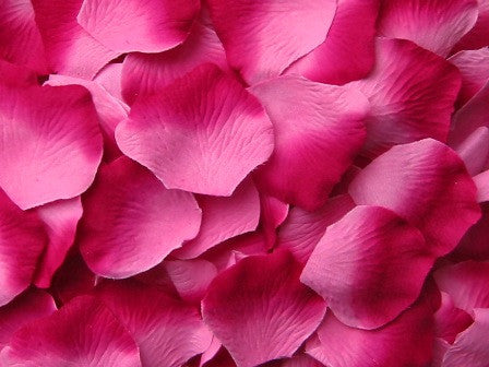 Berry Silk Rose Petals, 100 petals