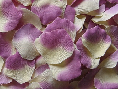 Ivory/Purple Silk Rose Petals, 100 petals